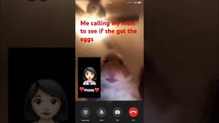 #calling mom