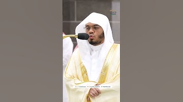 تلاوة خاشعة من سورة النبأ فجر 15 ربيع الأول 1446ه‍ #ياسر_الدوسري