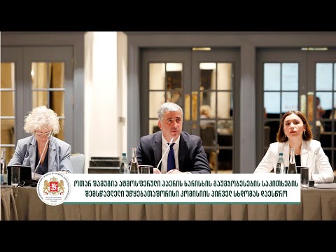 ატმოსფერული ჰაერის ხარისხის გაუმჯობესების საკითხების შემსწავლელი უწყებათაშორისი კომისიის სხდომა