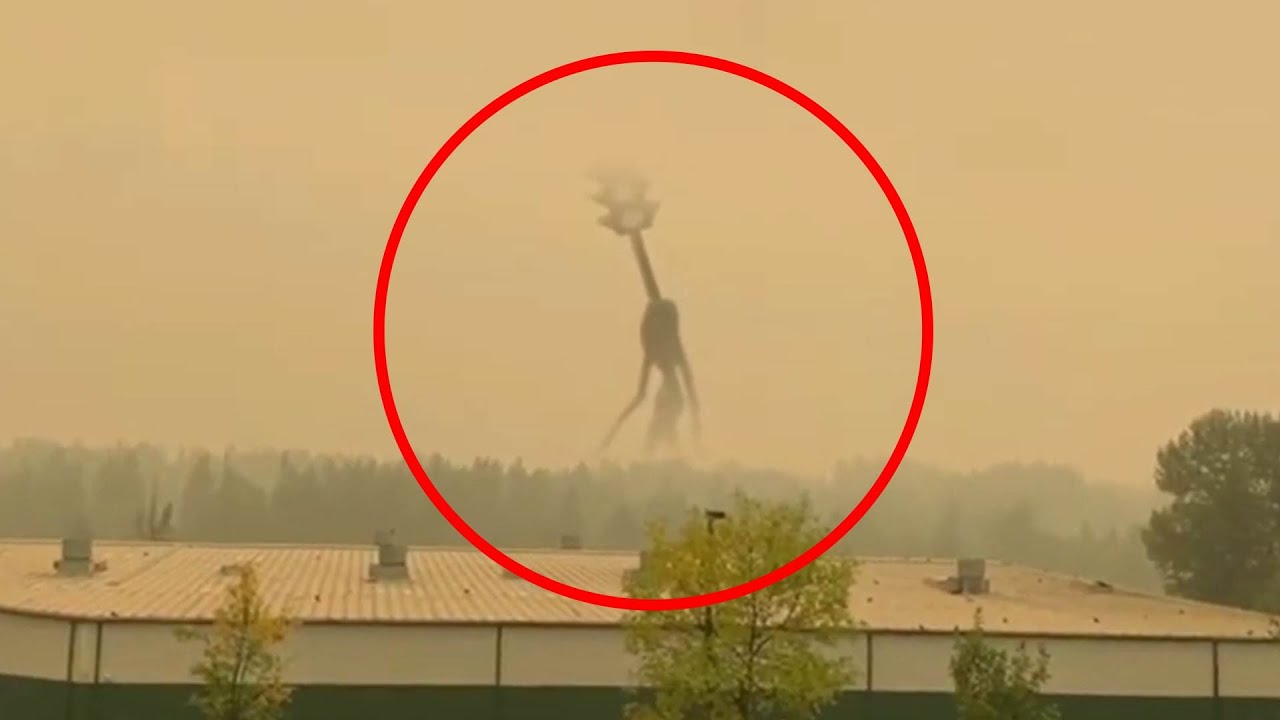 5 Giant monster sighting in real life YouTube