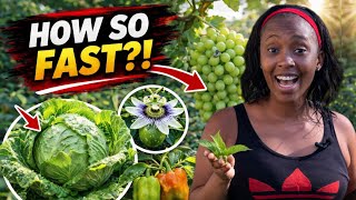 Boost Your Garden Growth… My Garden Exploded After This!