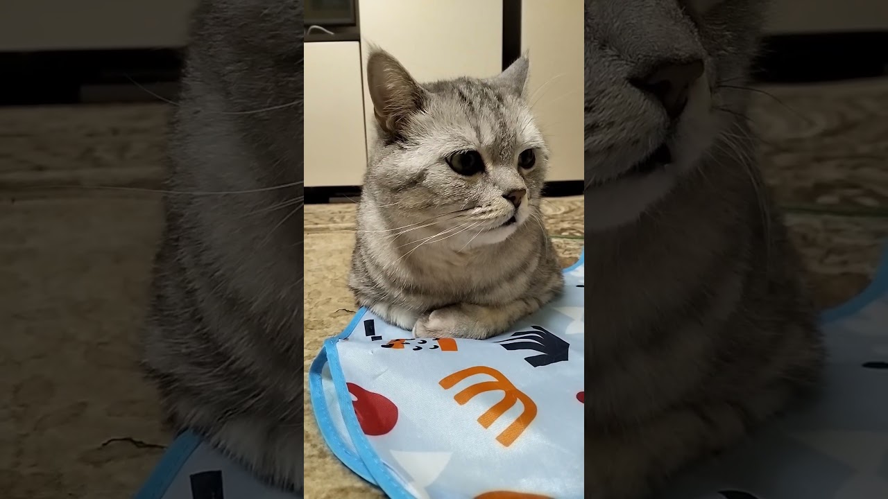 Не сдерживай себя 