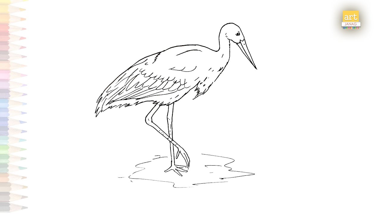 White stork - Wikipedia