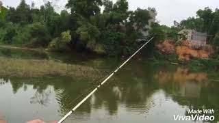 Fishing giant snakehead fish at thailand attack jumpfrog lure