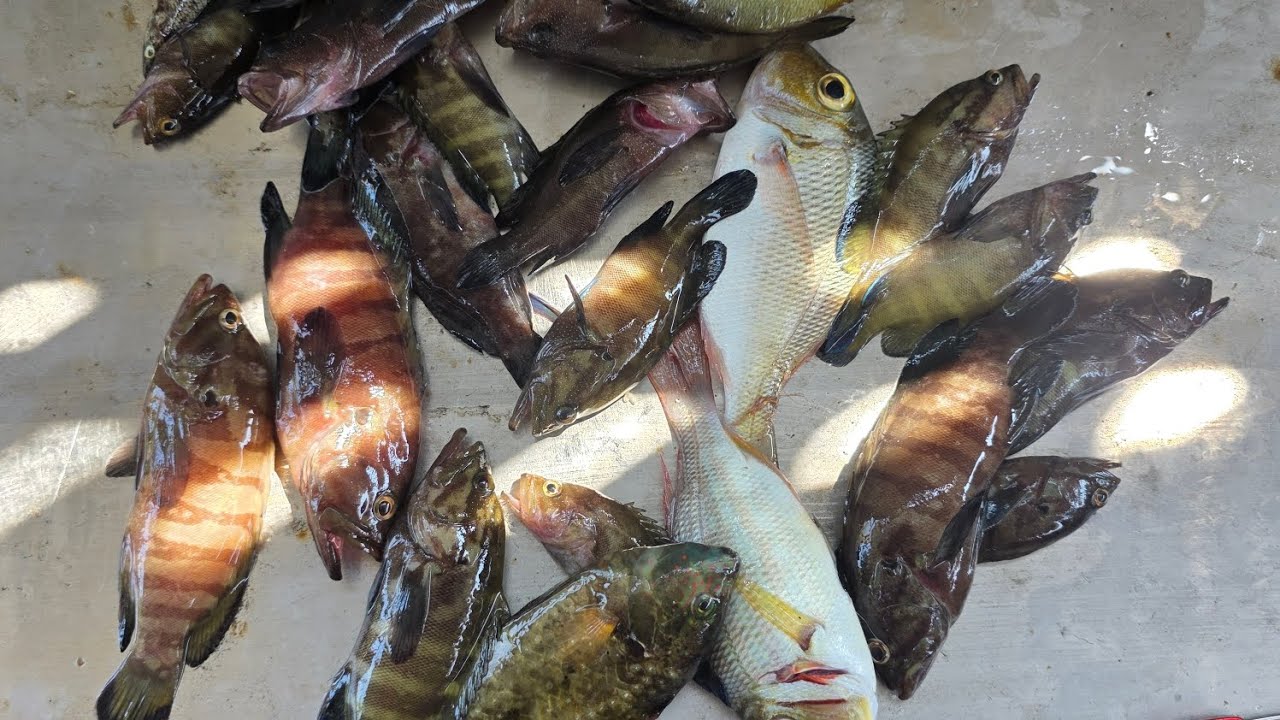 Libring paksiw. Kayak fishing - YouTube