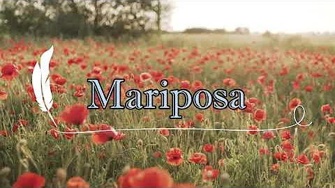 Peach Tree Rascals - Mariposa (Lyrics)