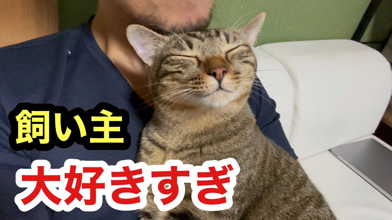 maxresdefault.jpg