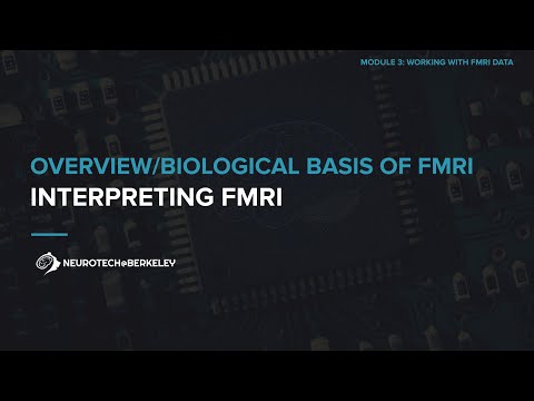Module 3, Section 1, Lesson 3: Interpreting fMRI || UC Berkeley CS 198-96
