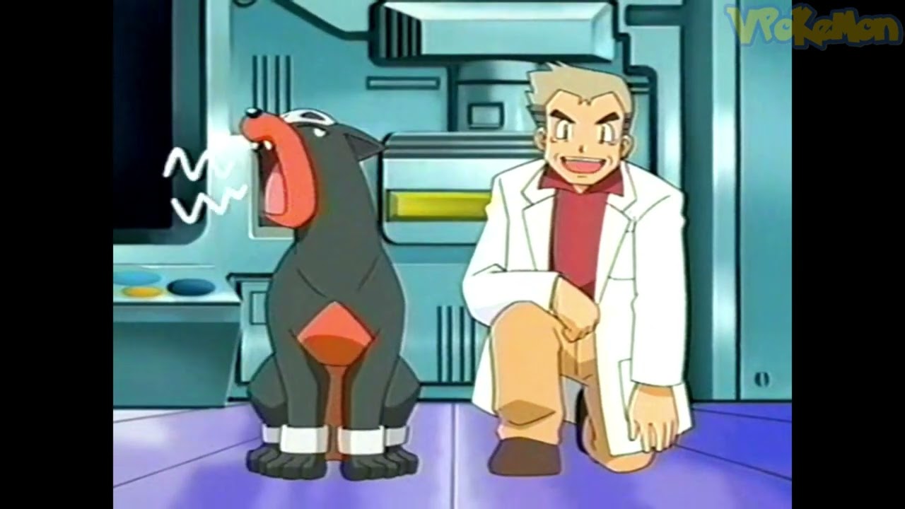 Houndour attacks Professor Oak | Professor Oak Funny Moments