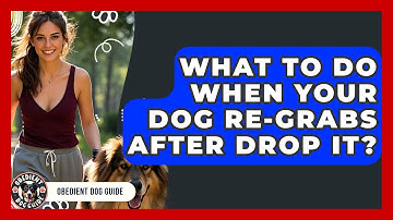 What To Do When Your Dog Re-grabs After Drop It? - Obedient Dog Guide