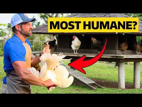 Poultry Butchering Masterclass: 3 Best Dispatch Methods for Chickens and Other Birds!