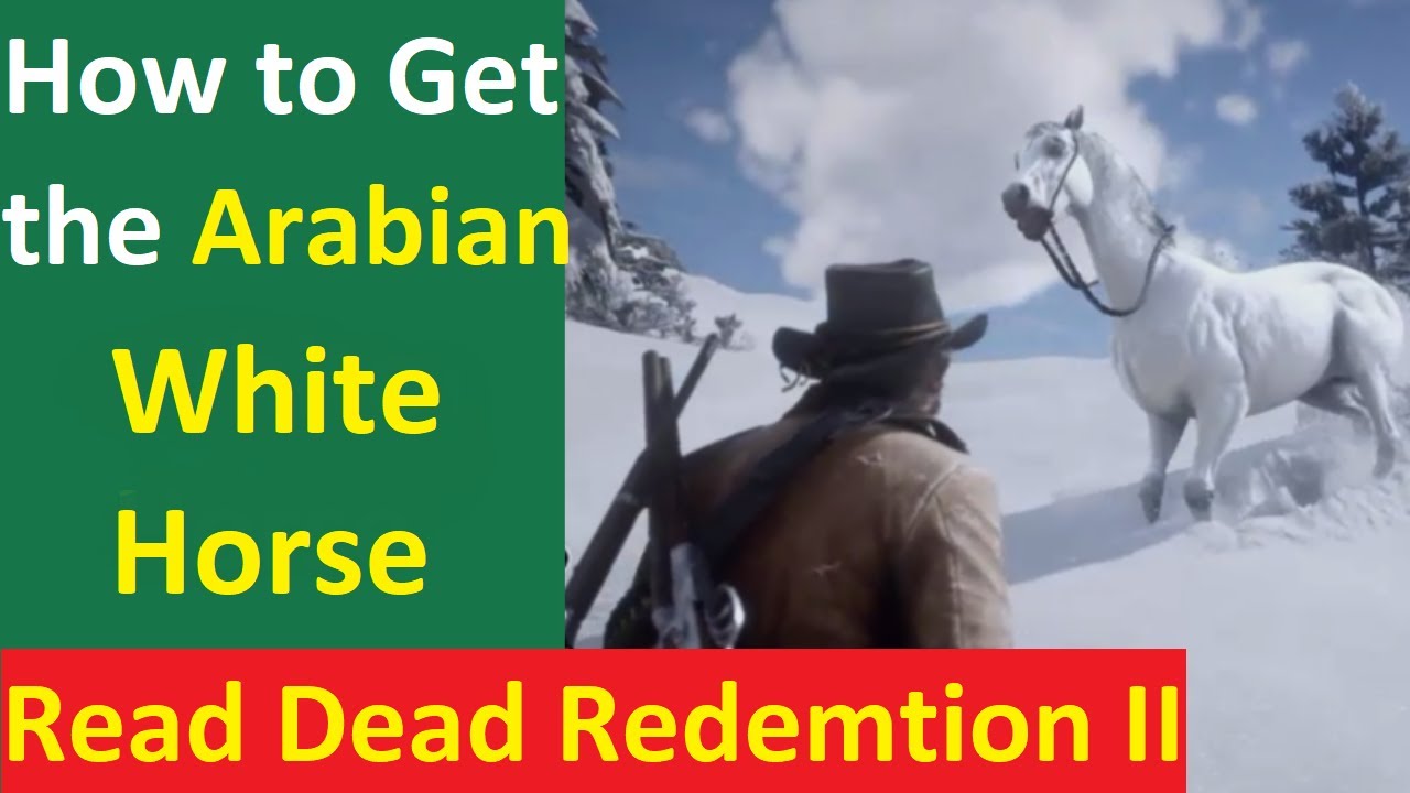 Red Dead Redemption 2 - How To Get Arabian White Horse in RDR2 (Best ...