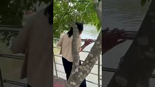 A Chinela Perdida