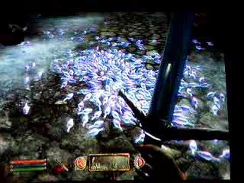 oblivion duplication glitch tutorial