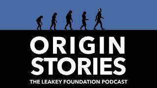 Understanding Neanderthals