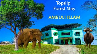 ആനമല കാടിനുള്ളിലെ ഇല്ലം | Ambulli Illam | Top Slip Forest Stay | 4K UHD