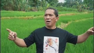 Darah Juang - John Tobing & Sumpah Mahasiswa - Afnan Malay (Original)
