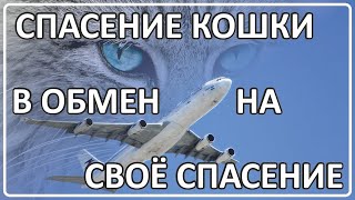 014 Спасение Жизни В Обмен На Спасение Кошки