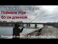 Рыбалка в Анталии, Турция Поймали Угря 60 см длиной Fishing in Antalya, Turkey 60 cm long Eel Fish