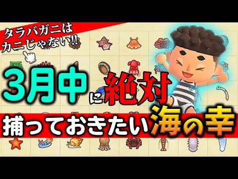 【あつ森】3月の海の幸をまとめて紹介!! タカアシガニだけは絶対にとっておこう！【あつまれ どうぶつの森】【ぽんすけ】