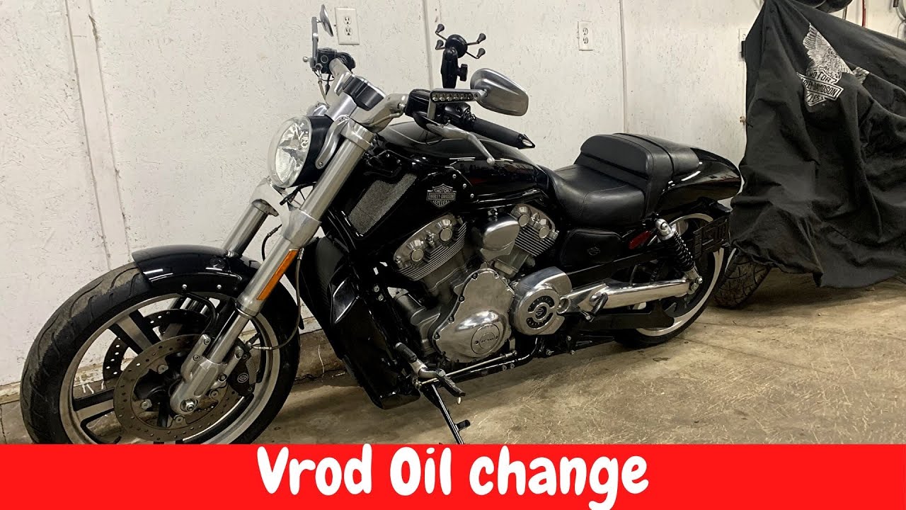 How to change the oil on a Vrod YouTube