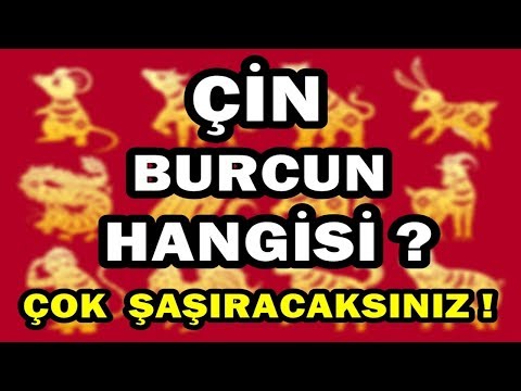 ÇİN ASTROLOJİSİNDE ÇOK ŞAŞIRACAĞINIZ BURÇ ÖZELLİKLERİNİZ