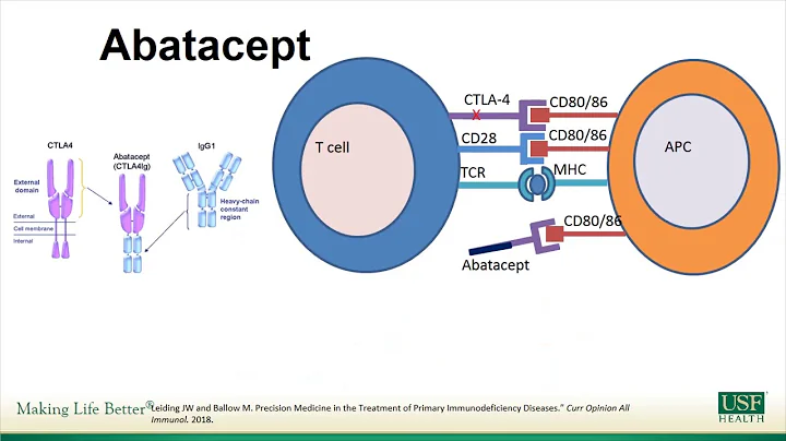 What’s the Connection: Primary Immune Regulatory Disorders (PIRDS), Autoimmunity & PI