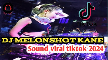 DJ MELONSHOT  KANE !!!!! Sound viral tiktok 2024