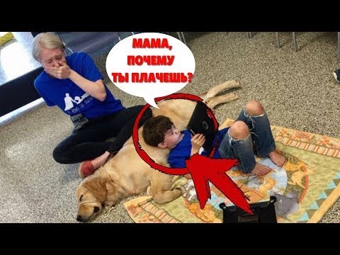 Video: Vai suņi var raudāt kā cilvēki?