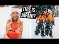 You Can Do This in Japan!? Snowshoeing in Kansai