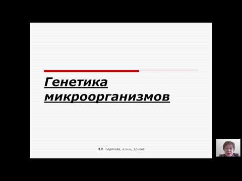 Видео: Психология «излечения» - уникальные вызовы процессам согласия в исследованиях по лечению ВИЧ в Южной Африке