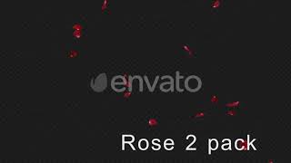 Rose | Motion Graphics - Envato elements
