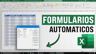 AUTOMATIC FORMS to Enter Information in Excel