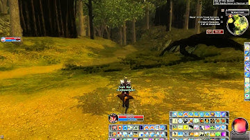 DDO - Shiradi Champion - Audience with the Queen