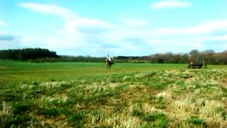 Burgham Horse Trials 2013 - Fence Judging at #12