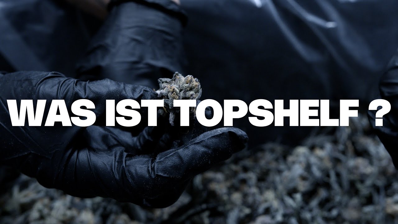 Hinter den Kulissen der Craft-Grower Organnicraft aus British Columbia