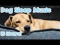 Dog Sleep Music - 15 hours of Relaxing Melodies to keep your dog asleep! 🐶