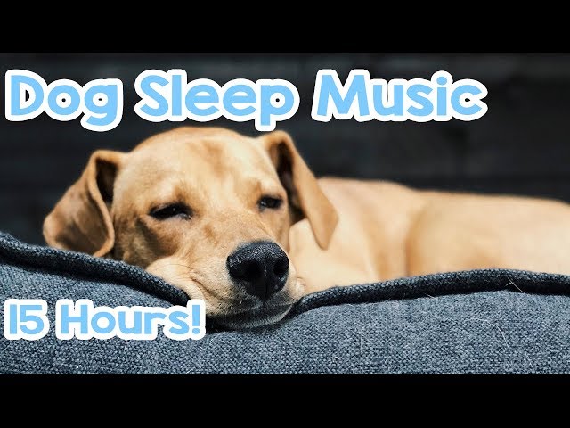 dog music to sleep