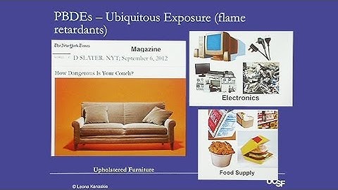 Toxins in Your Everyday Environment