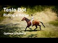 Tesla Bot Riding a Horse