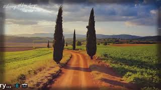 Download Lagu Tom Jones, Engelbert, Andy Williams, Carpenters, Elvis Presley 🍀 Relaxing Oldies Songs 50s 60s 70s MP3 Download Lagu Tom Jones, Engelbert, Andy Williams, Carpenters, Elvis Presley 🍀 Relaxing Oldies Songs 50s 60s 70s MP3
