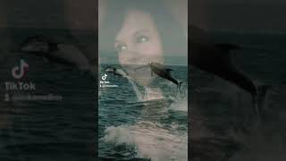 Ortel#Řeči voňavý #Tomáš Ortel #láska #foryou #folow #život #delfíni #Tiktok #facebook #lowe