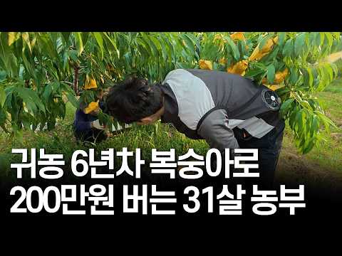 Making $1,500 a Day Farming Peaches: A 31-Year-Old Who Quit Their Corporate Job to Become a Farmer