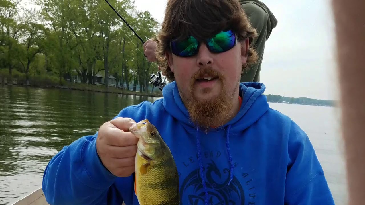 Good day on sodus bay NY rock bass run