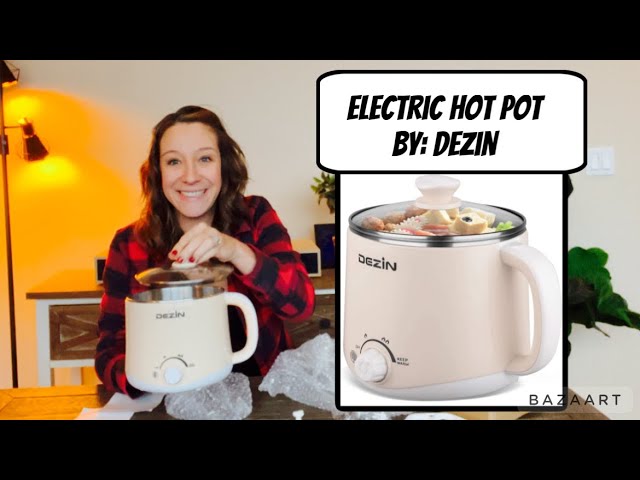 Dezin Hot Pot Electric, Rapid Noodles Cooker, Stainless Steel