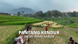 [FULL] PANTANG KENDUR MESKI AYAM KABUR | SI BOLANG (01/05/24)