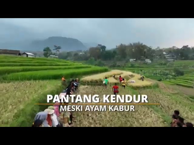 [FULL] PANTANG KENDUR MESKI AYAM KABUR | SI BOLANG (01/05/24) class=