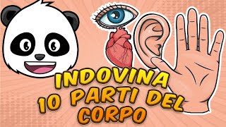 👀💪 Scopri le Meraviglie del Nostro Corpo: Gioco delle Parti del Corpo con 🧠 Pandolo! 🐼 screenshot 2