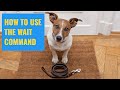 How To Use The Wait Command