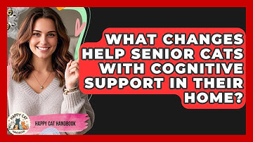 What Changes Help Senior Cats With Cognitive Support In Their Home? - Happy Cat Handbook
